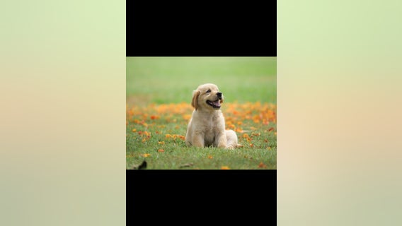 QA Web FE Automation Post – Text Content Validations – DO NOT EDIT/DELETE