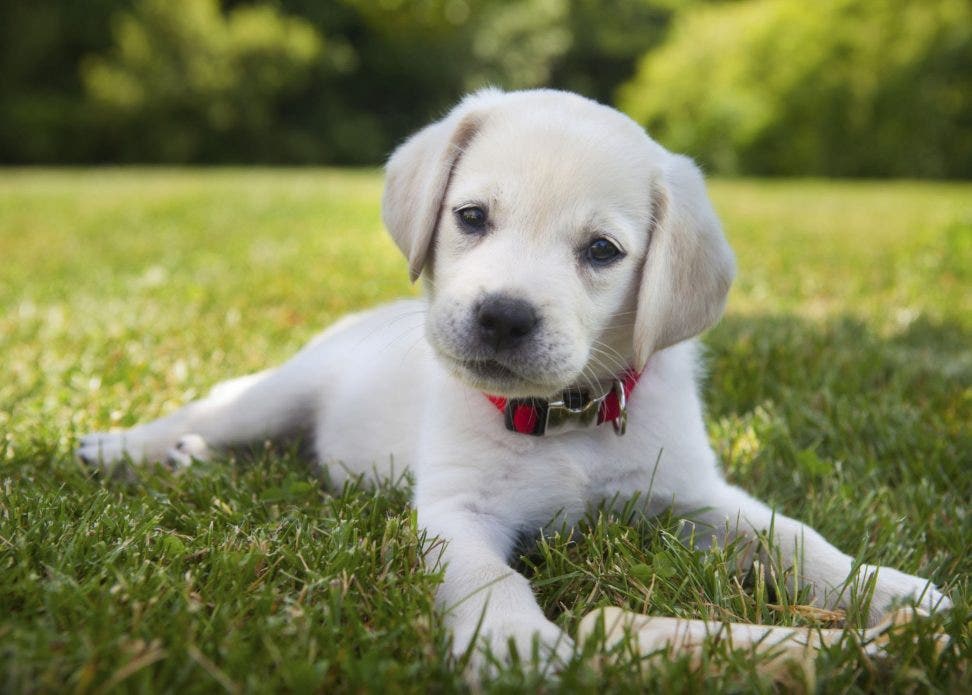 iQA shared post - Hugo onboarding