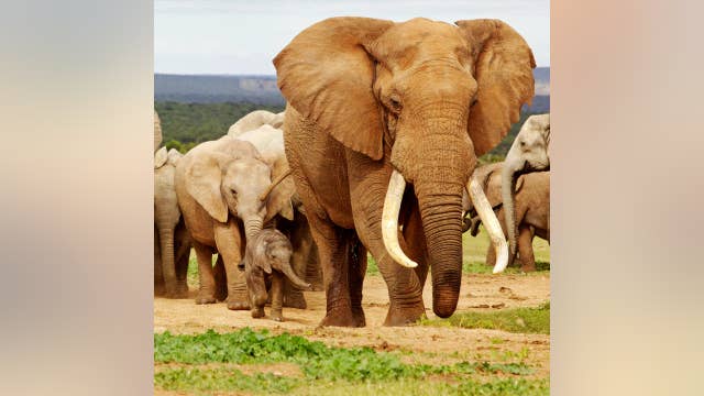 iQA - Creating new post for MSN update minor