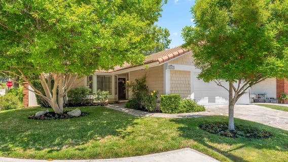 Checking timing for article - Update Elections