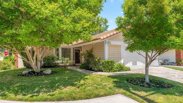 Checking timing for article - Update Elections