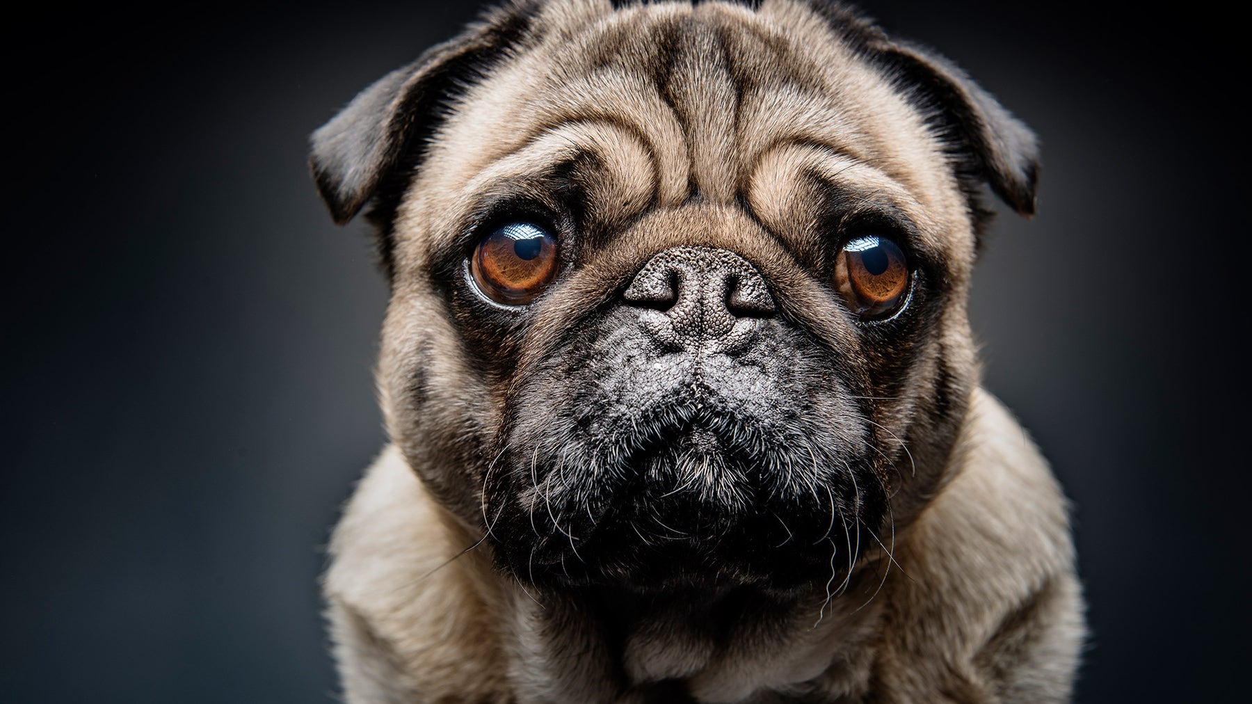 Sanity checks post 10.9.0 original Fox29