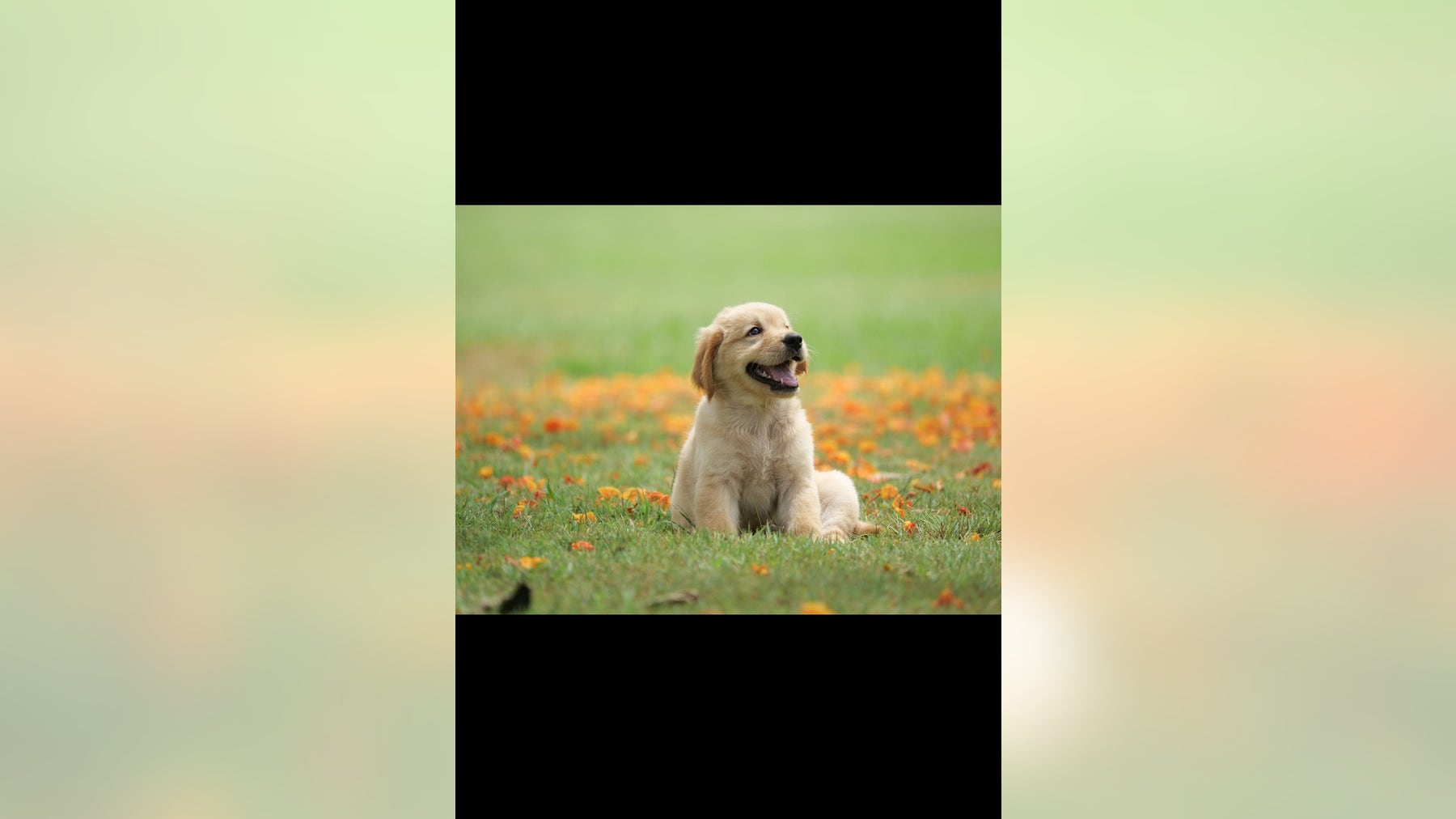 10.7.0 Sanity Test Plan Before Merged