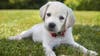 TR- Shared Post QA Test