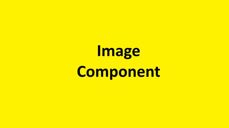 Image Component Alt Text