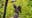 title overridden