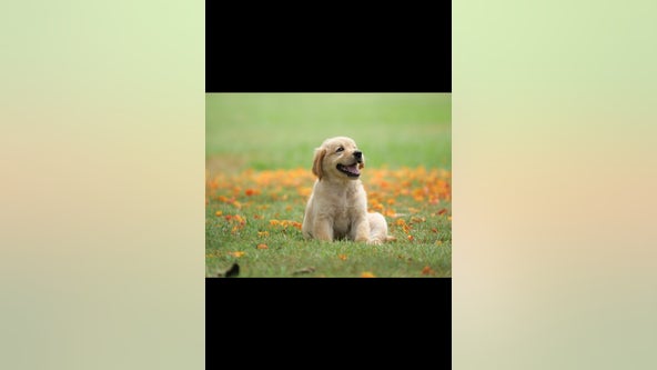 Test for test FTSP-6771 article with GIFT as displey media