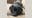labrador test post