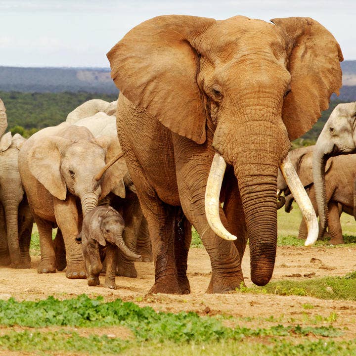 Monica Is Demoing this to FTS Finally!