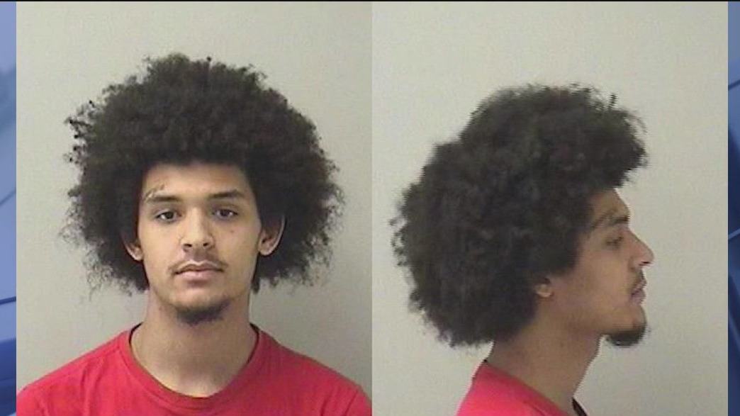 Hate crime charges filed after fight sparked by derogatory remarks at suburban McDonald's