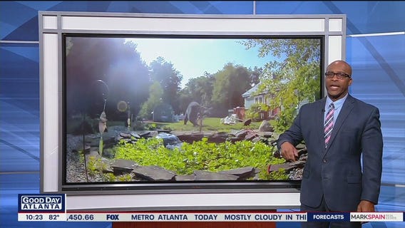 Bear takes down backyard birdfeeder