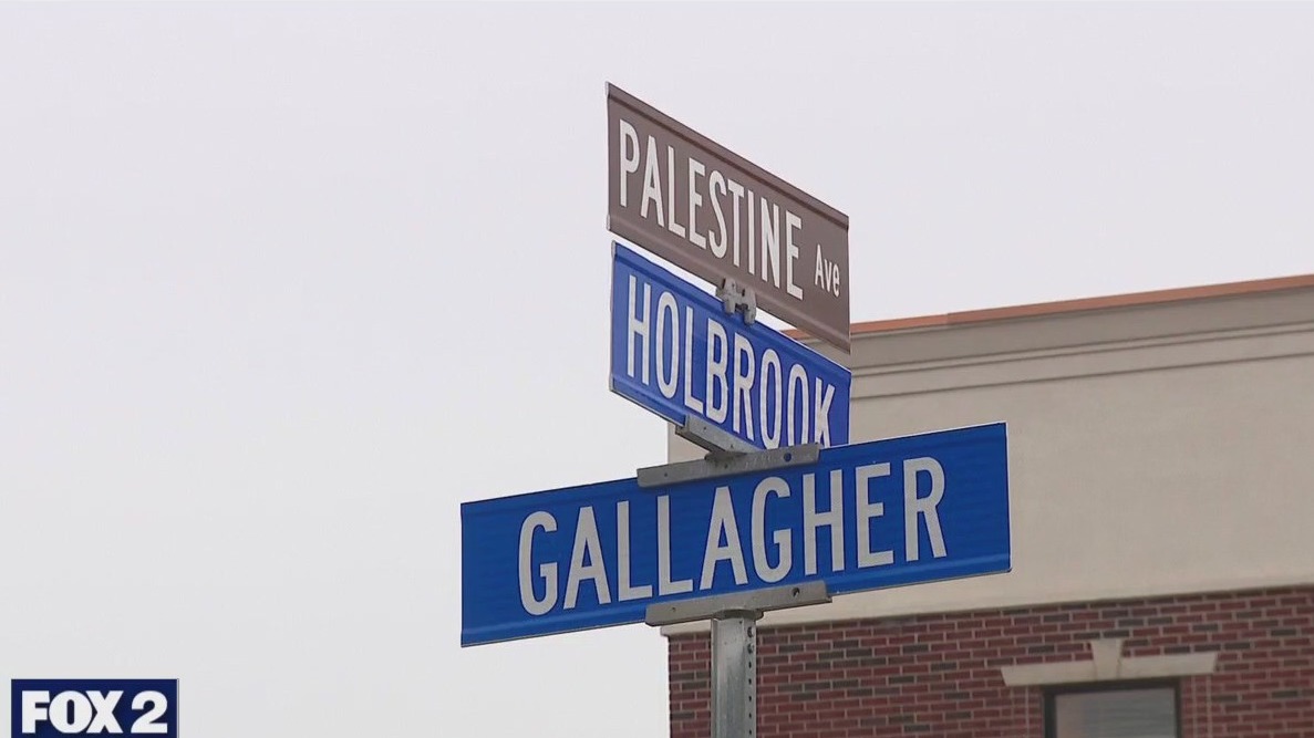 Palestine Avenue street signs added in Hamtramck