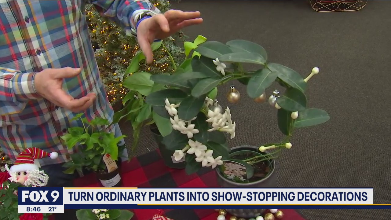 Embracing unconventional plants for the holidays (and they make great gifts, too)