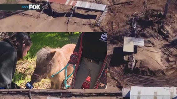 Ventura horse ranch devastated by winter storms; Program in need of help