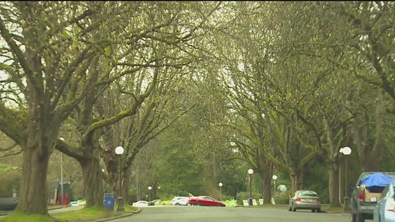 New Yorkers react to allergy season