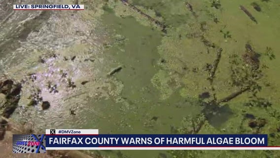 Fairfax County warns of harmful algae bloom at Lake Accotink