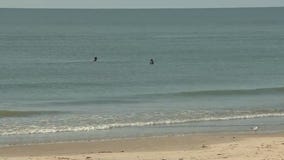 How did Galveston's water turn blue? Expert explains | Forecasting With Friends