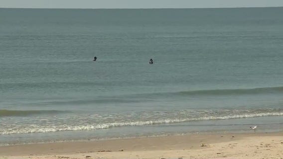 How did Galveston's water turn blue? Expert explains | Forecasting With Friends