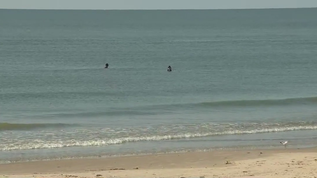 How did Galveston's water turn blue? Expert explains | Forecasting With Friends