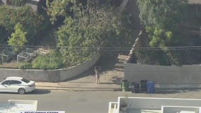 Manhunt underway for hit-and-run driver