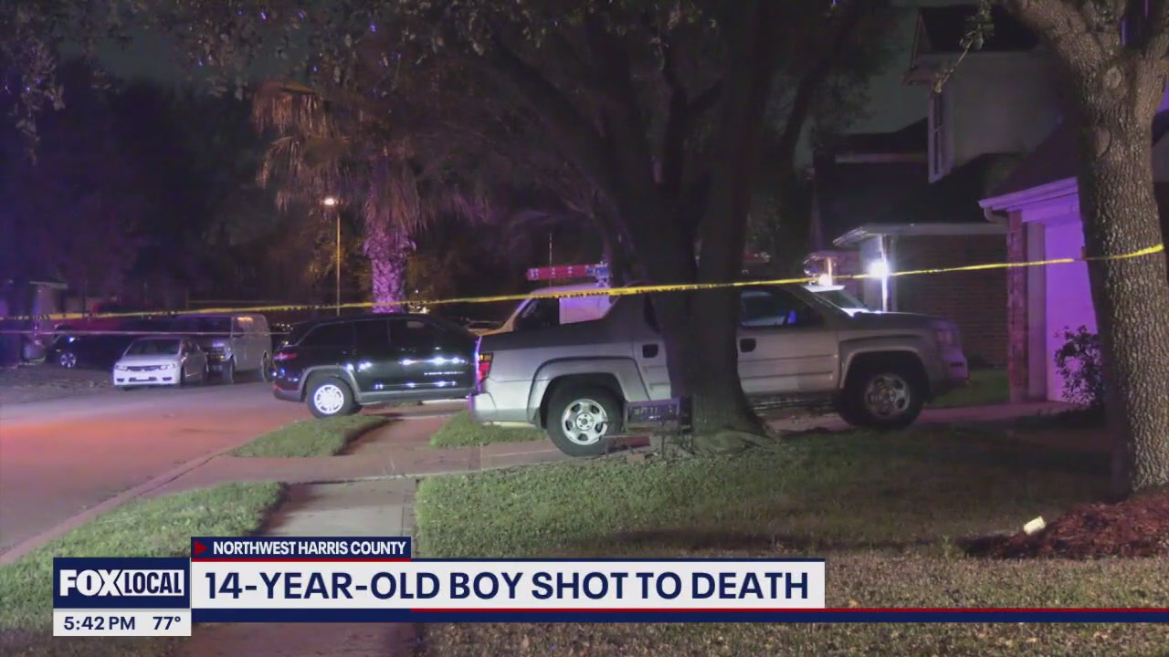 Breaking the Cycle: Teen-on-teen violence