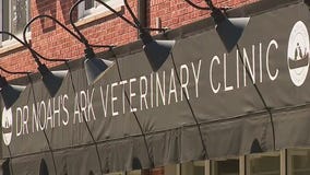 Shorewood veterinarian facing sexual harassment accusations