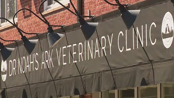 Shorewood veterinarian facing sexual harassment accusations