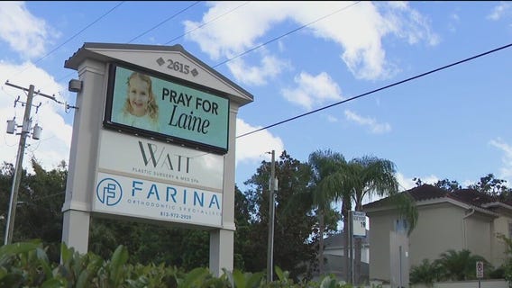 Tampa artist using her talents to help support Laine