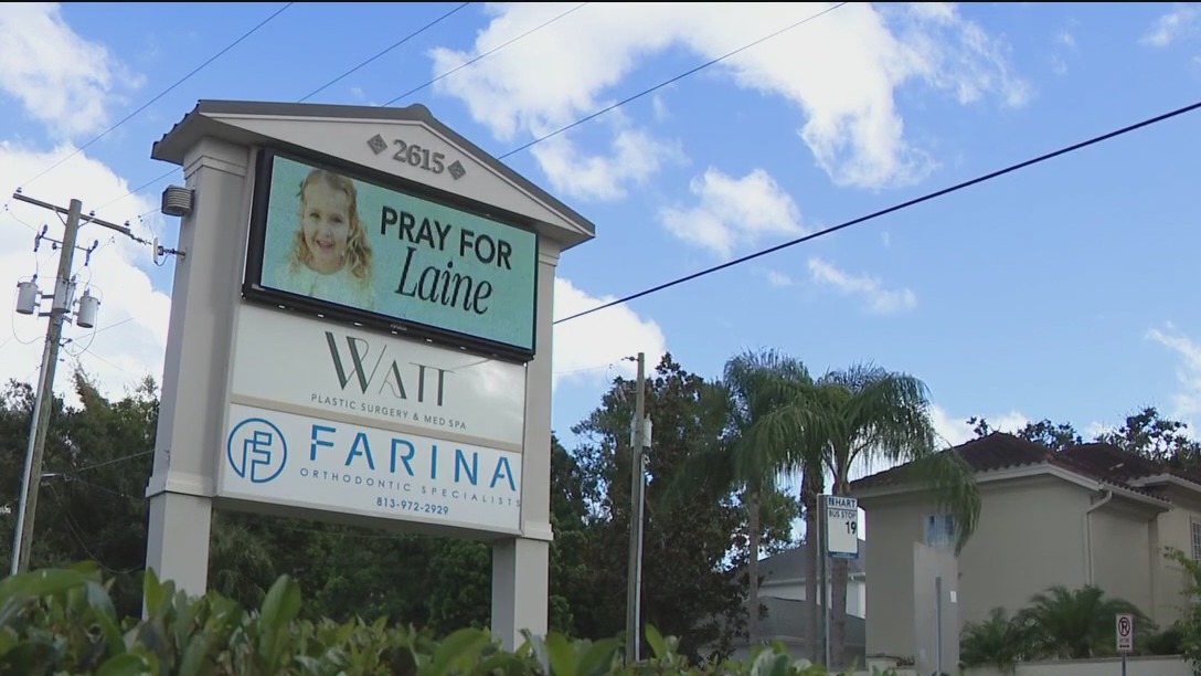 Tampa artist using her talents to help support Laine