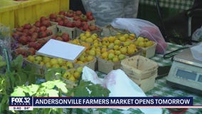 Andersonville Farmers Market opens Wednesday
