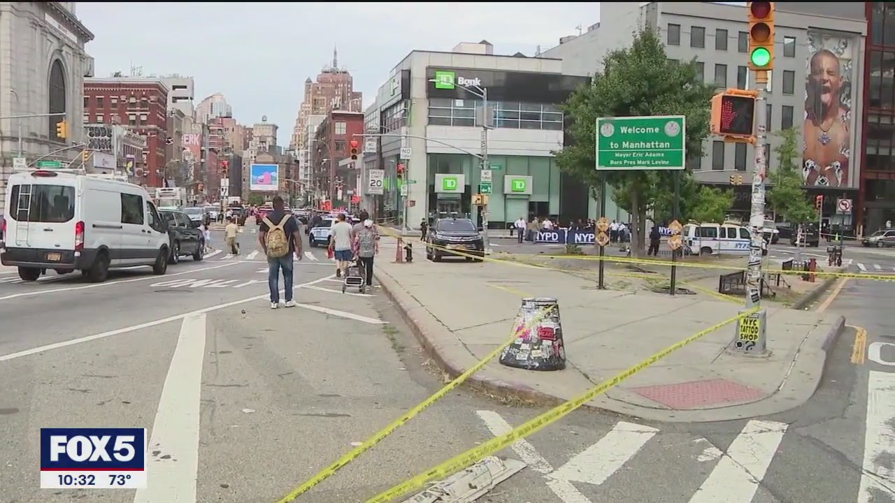 Chinatown vigil for victims killed in hit-and-run | FOX 5 New York