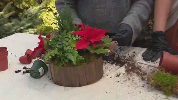 DIY holiday centerpieces