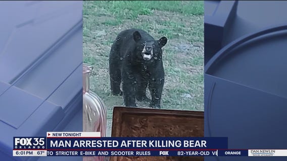 Florida man arrested for allegedly killing a bear without permit