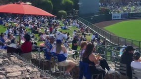 Fans flock to Cactus League Spring Training