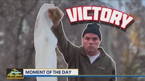 Moment of the Day: Hank to the Rescue