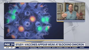 Study: Vaccines appear weak at blocking Omicron