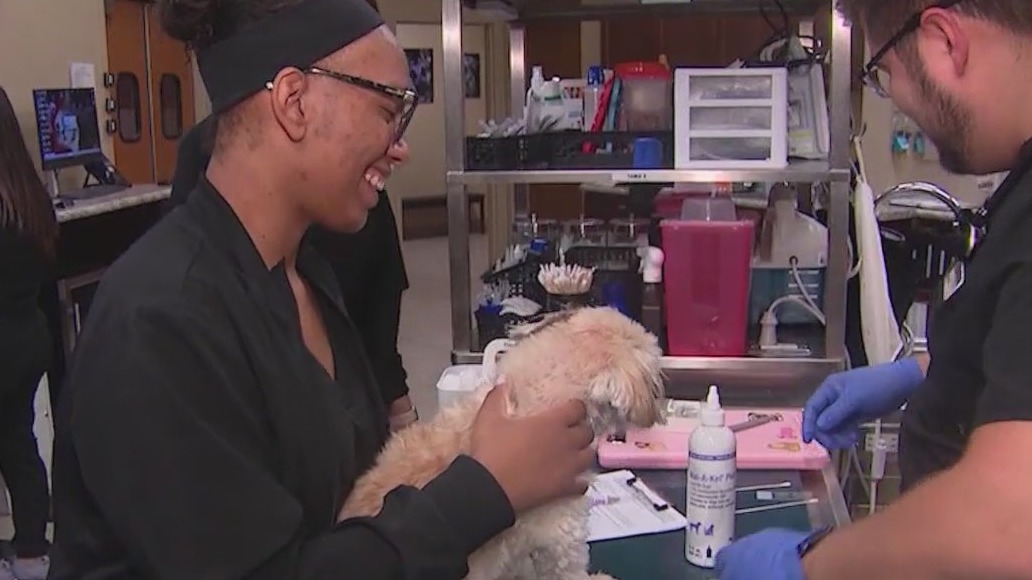 Students learn about being a veterinarian