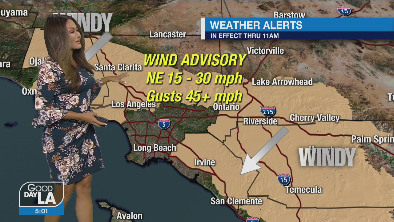 Weather Forecast for Friday, Nov. 25