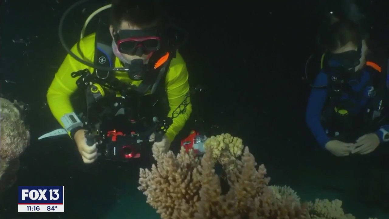 Heat wave causing problems below water