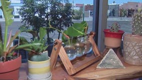 Behind the scenes of Greenbelt Plants & Pottery