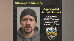 Goodyear police searching for assault suspect