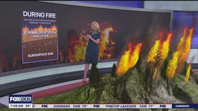 What you need to know about burn scars