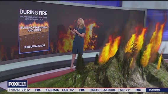 What you need to know about burn scars