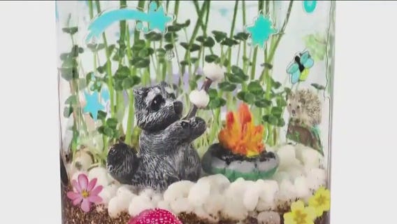 Holiday shopping trends: Must haves and what's new