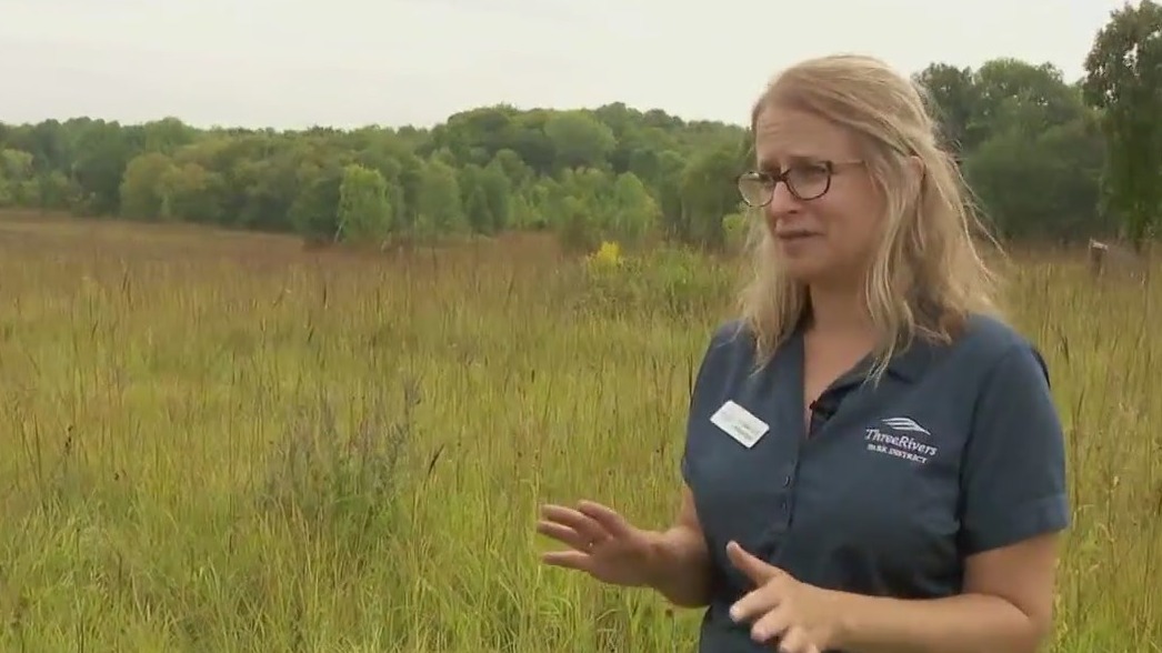 Save Minnesota?s prairies by harvesting seeds