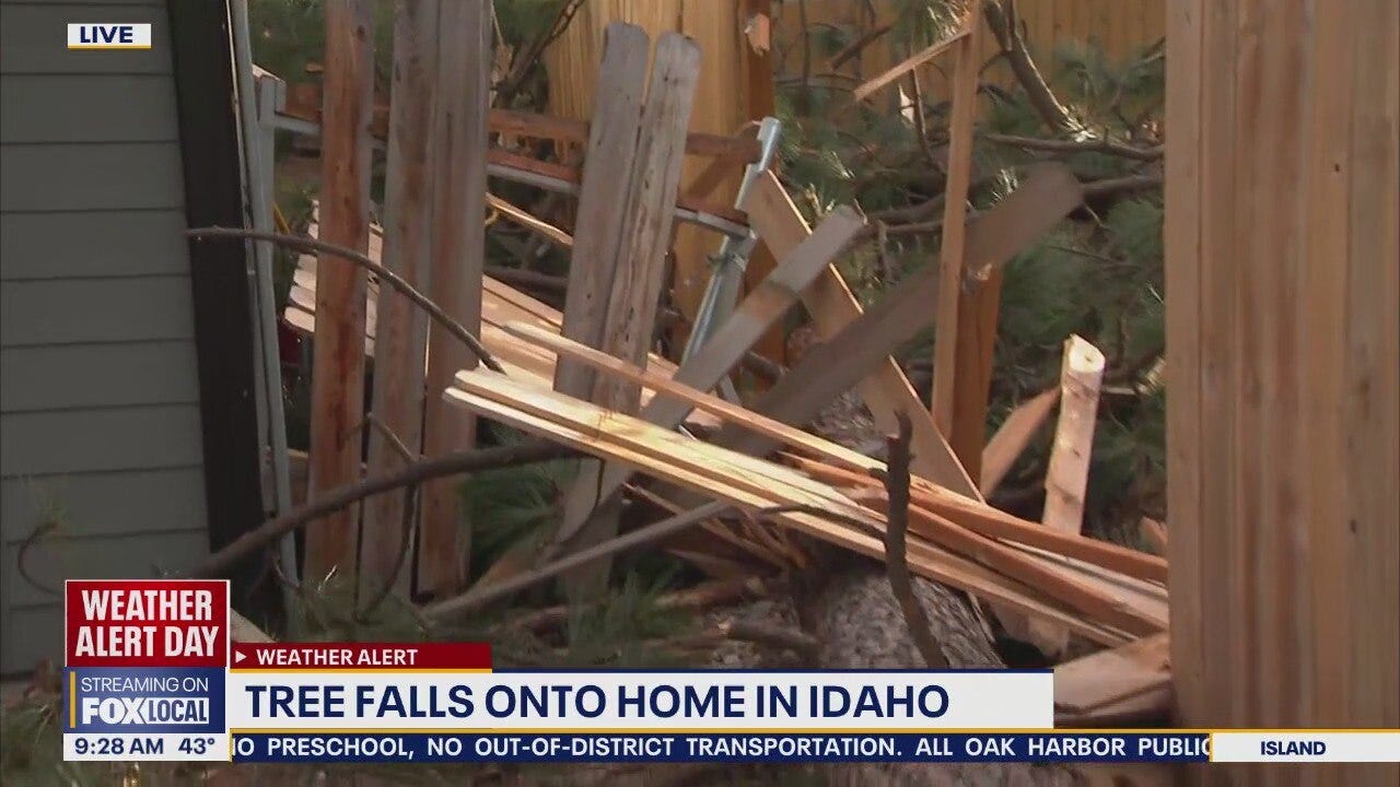Strong winds topple trees in eastern WA and Post Falls, ID