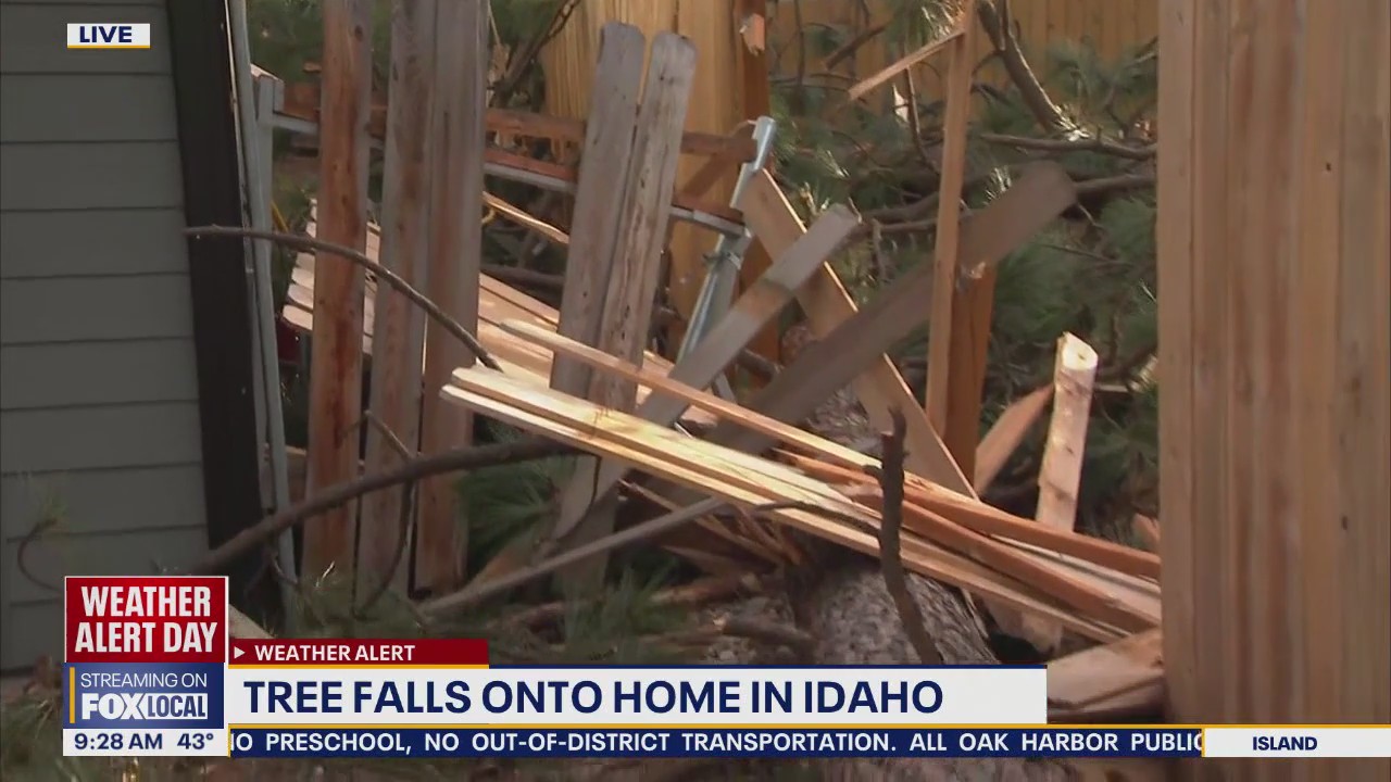 Strong winds topple trees in eastern WA and Post Falls, ID