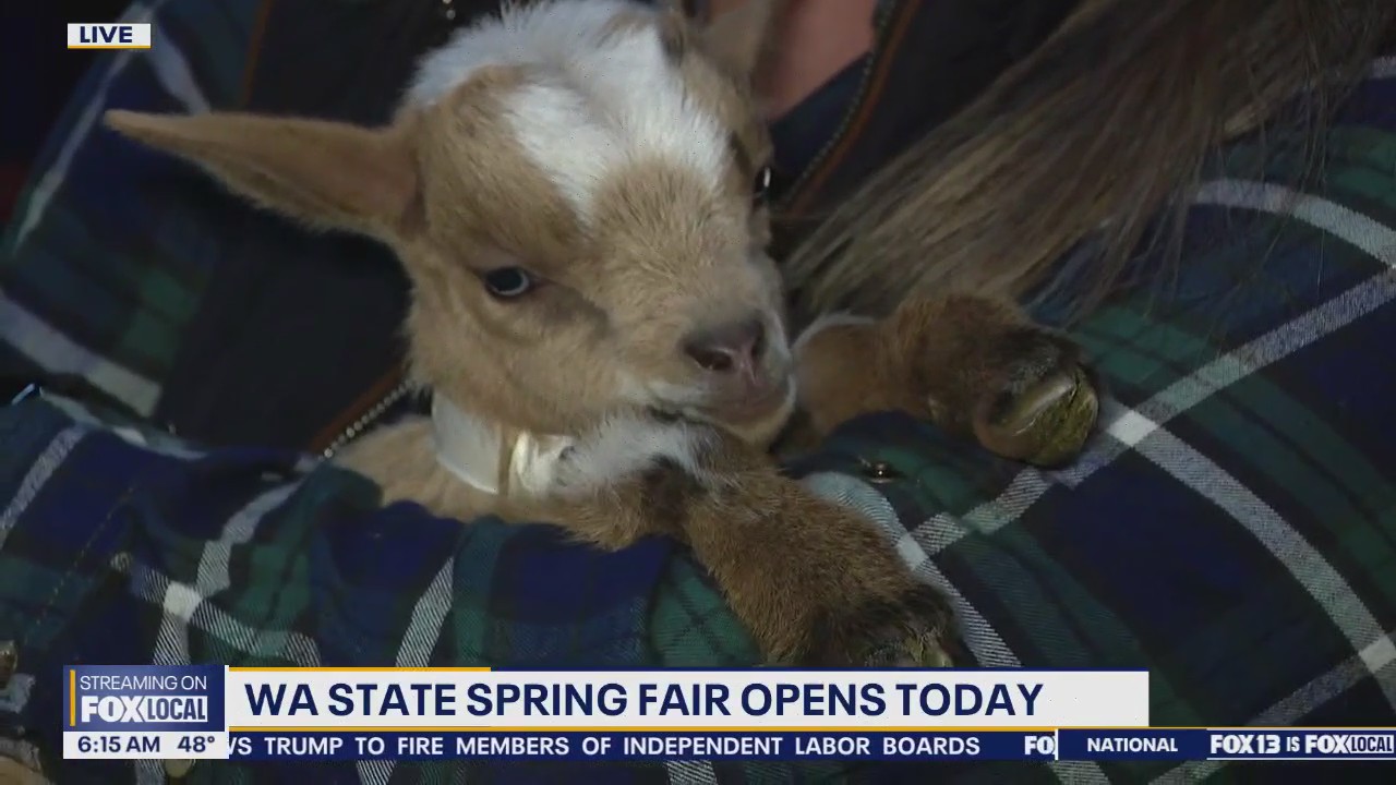WA State Spring Fair starts Thursday