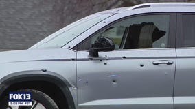 Pierce County shooting sends nearby schools into lockdown