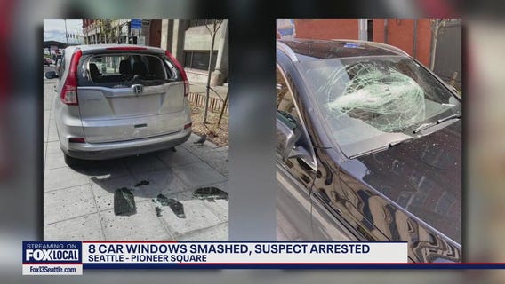 Seattle car smashing spree causes $20K in damages